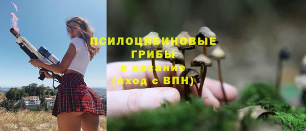 spice Вязьма