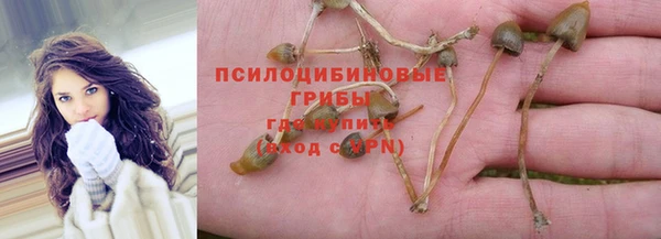 jwh Алзамай